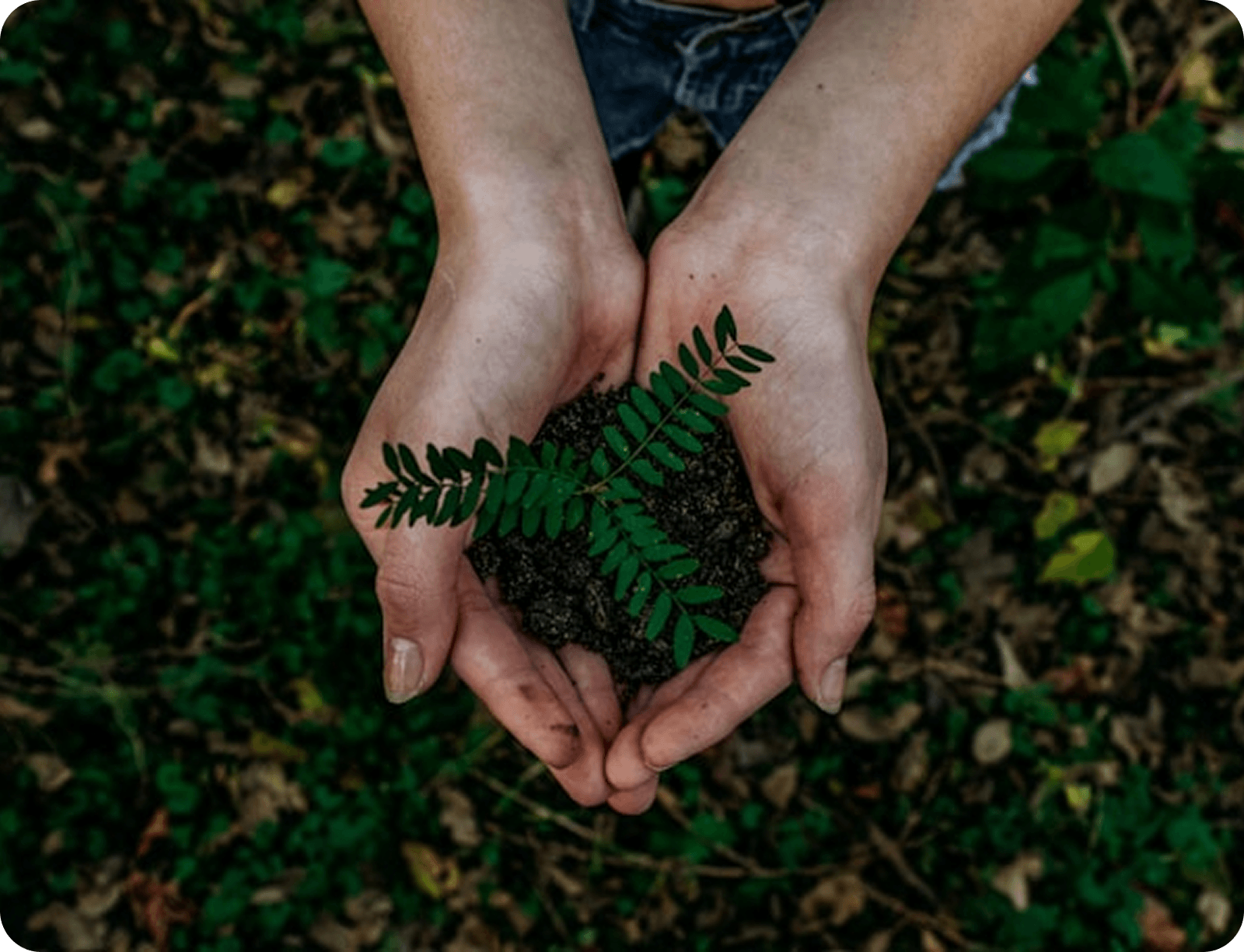 Ecological